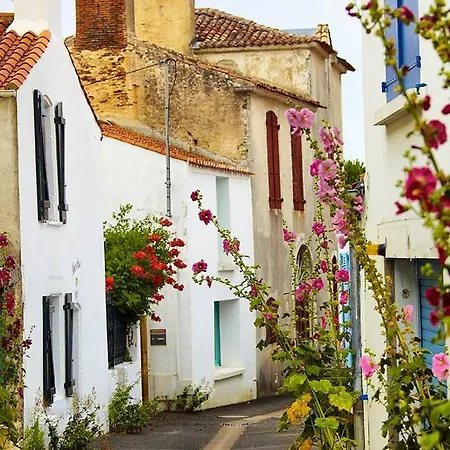 Un Sur La Marina De St-gilles * Saint Gilles Croix de vie