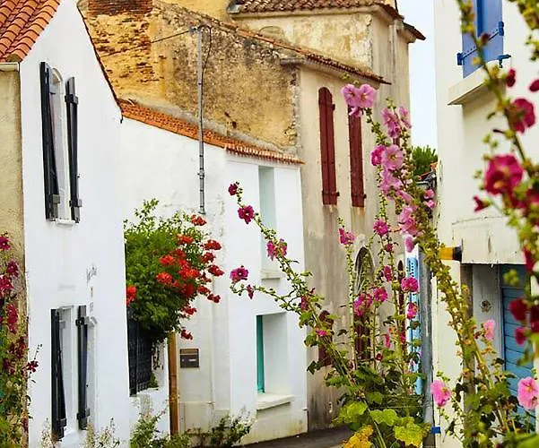 Un Sur La Marina De St-gilles * 圣吉尔-克鲁瓦德维